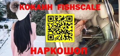 a pvp Камышлов