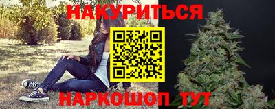 a pvp Камышлов