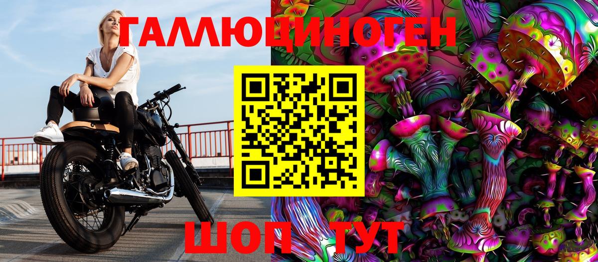 Псилоцибиновые грибы Cubensis Лыткарино