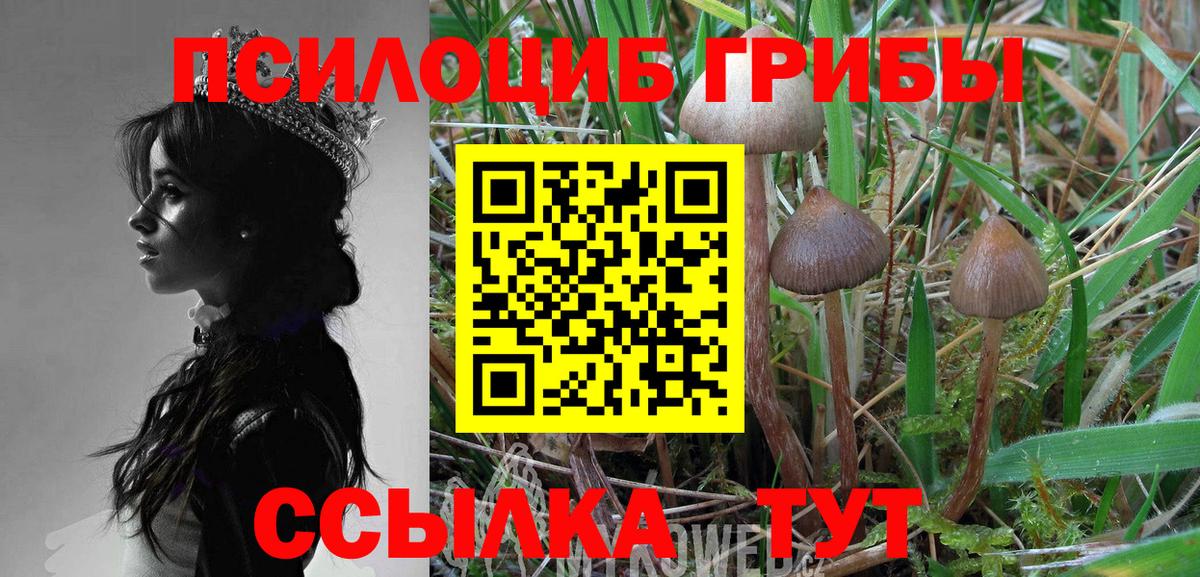 Лыткарино  Псилоцибиновые грибы мухоморы  Вход с VPN  Псилоцибиновые грибы GOLDEN TEACHER 